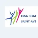 logo essagym